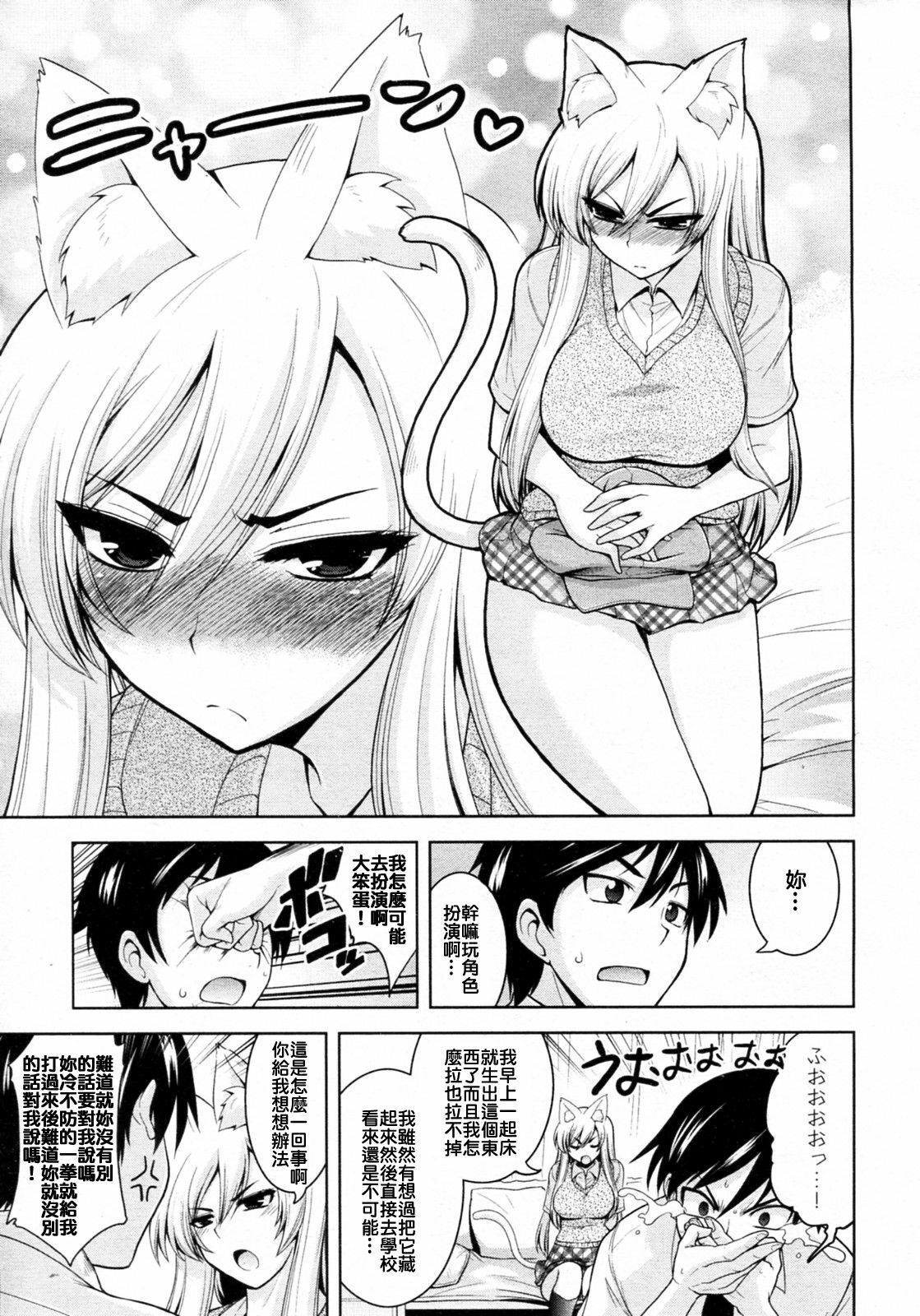 [Yamada Shouji] Tabekko Doubutsu (Neko hen) (COMIC Aun 2010-04) [Chinese] page 5 full