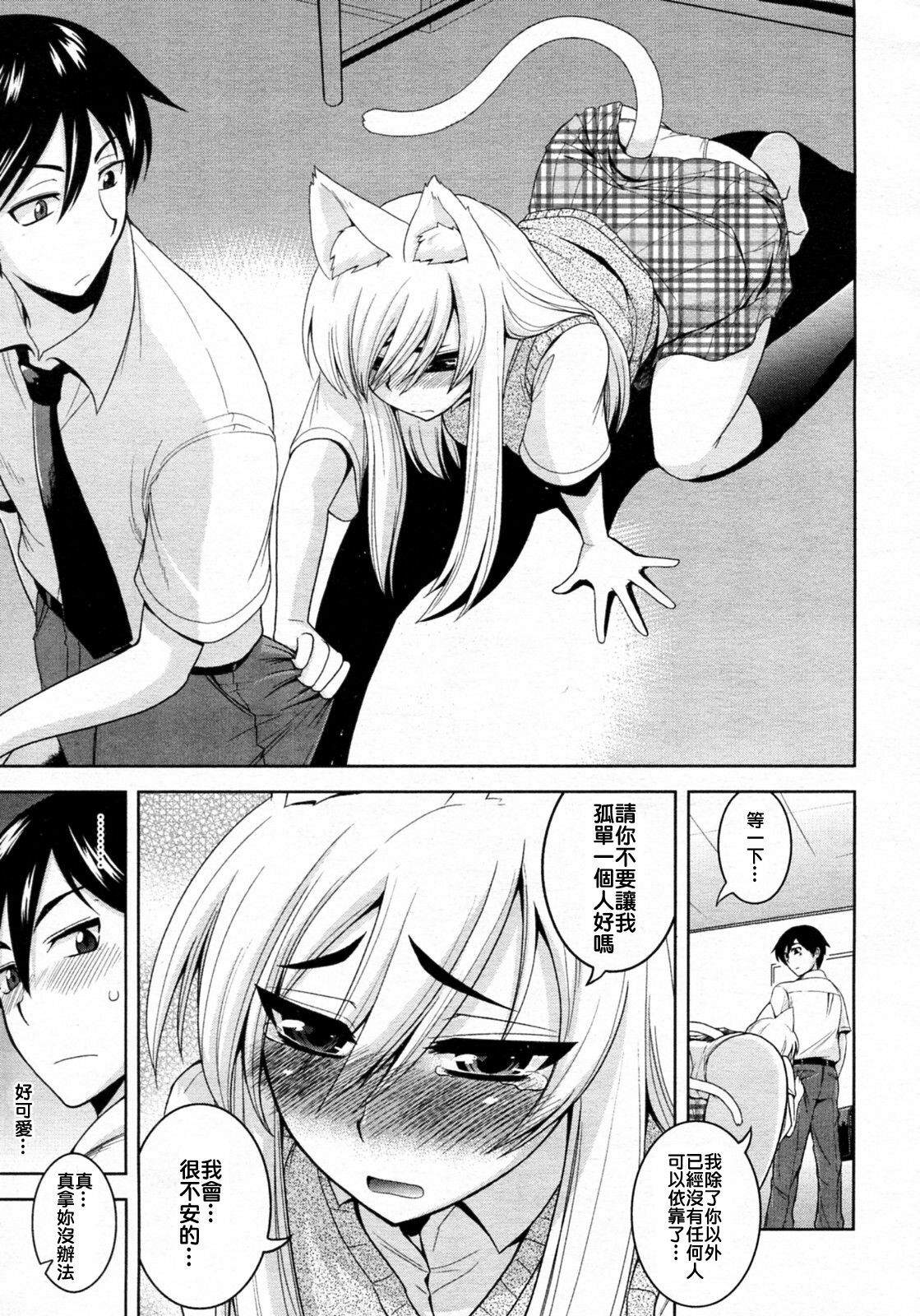 [Yamada Shouji] Tabekko Doubutsu (Neko hen) (COMIC Aun 2010-04) [Chinese] page 7 full