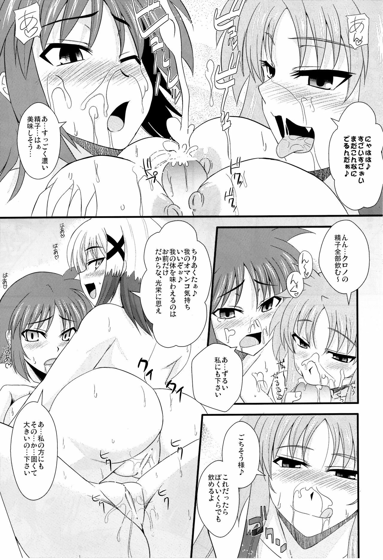 (C78) [Take Out (Zeros)] Material Station (Mahou Shoujo Lyrical Nanoha) page 26 full