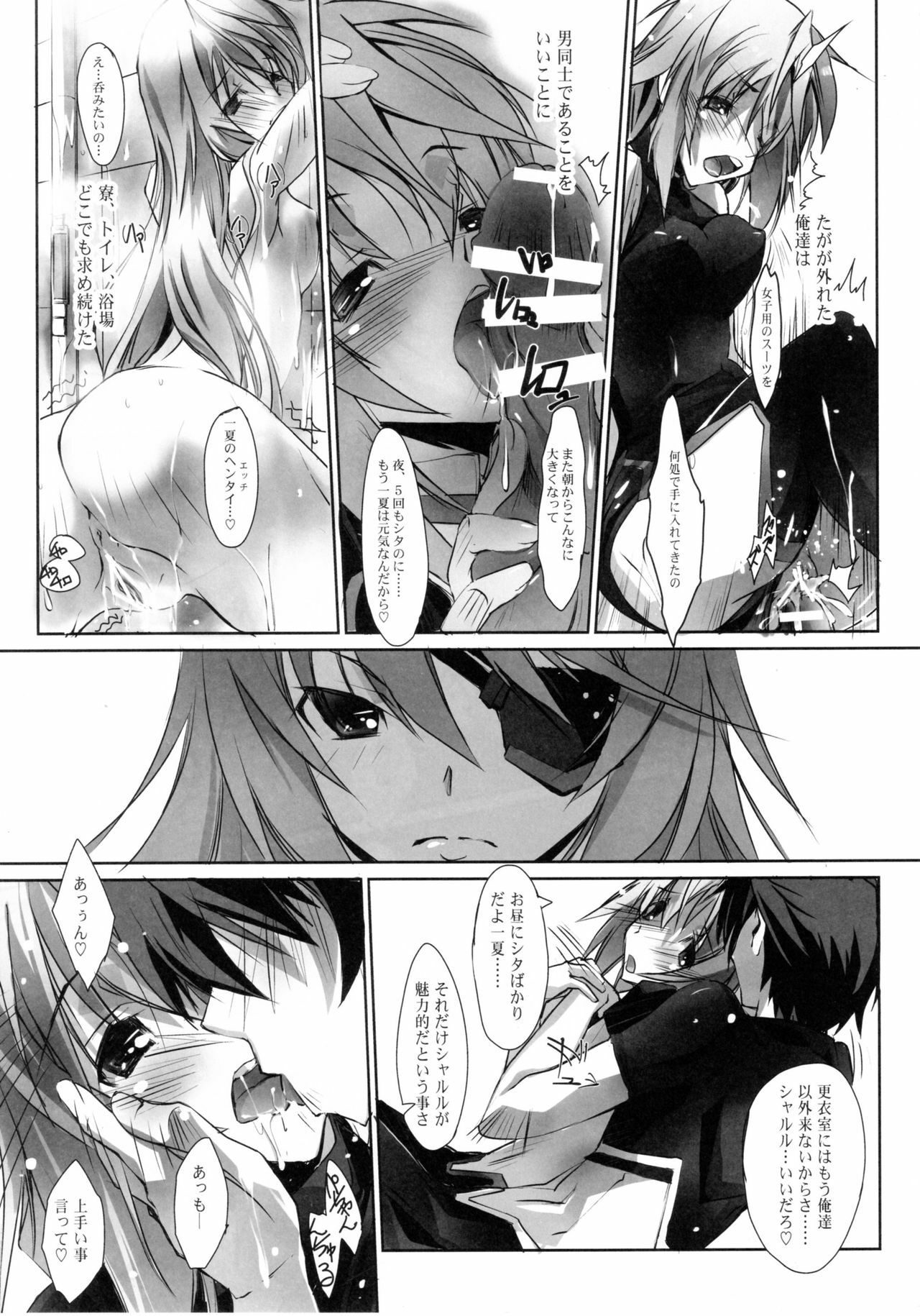 (COMIC1☆5) [RYU-SEKI-DO (Nagare Hyo-go)] LS Lovers Striker II (IS ) page 13 full