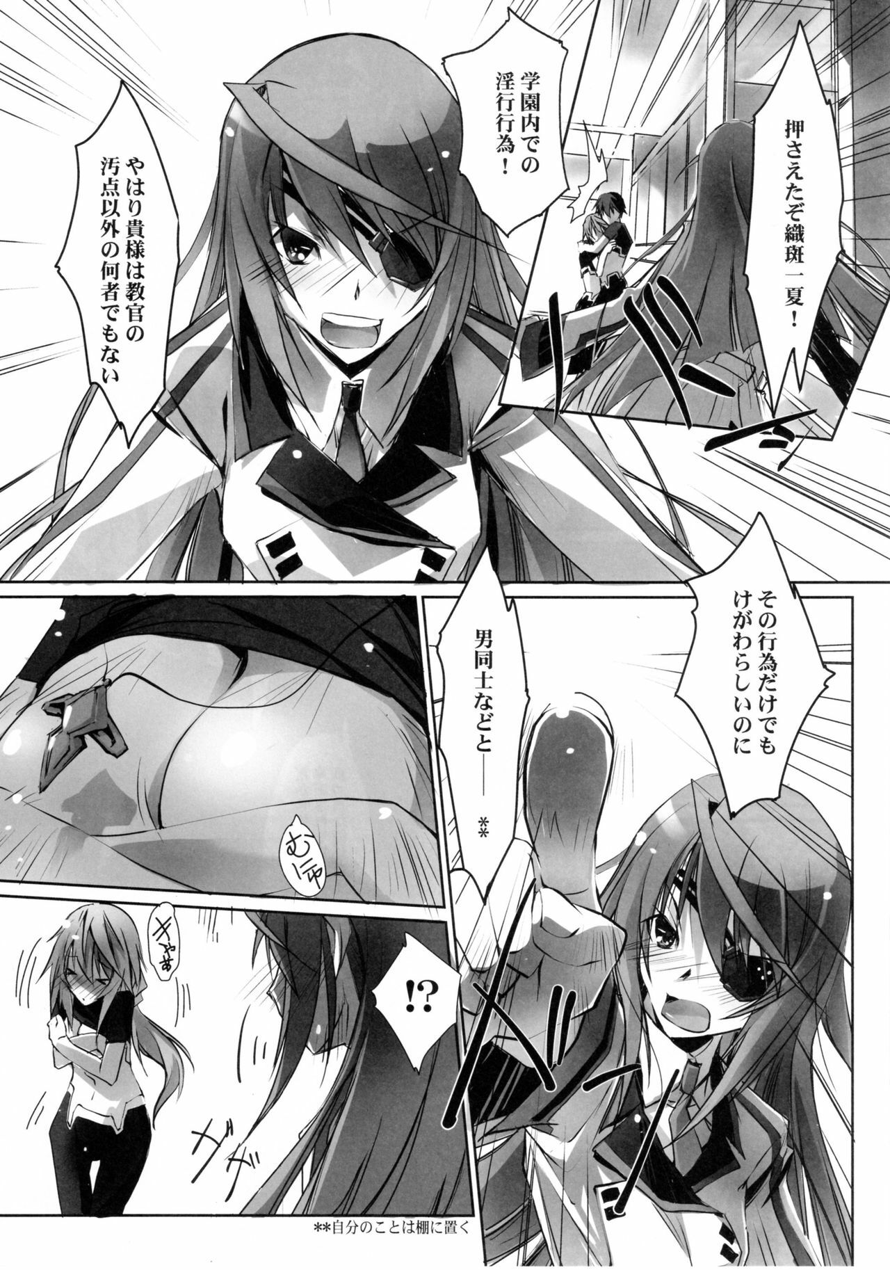 (COMIC1☆5) [RYU-SEKI-DO (Nagare Hyo-go)] LS Lovers Striker II (IS ) page 14 full