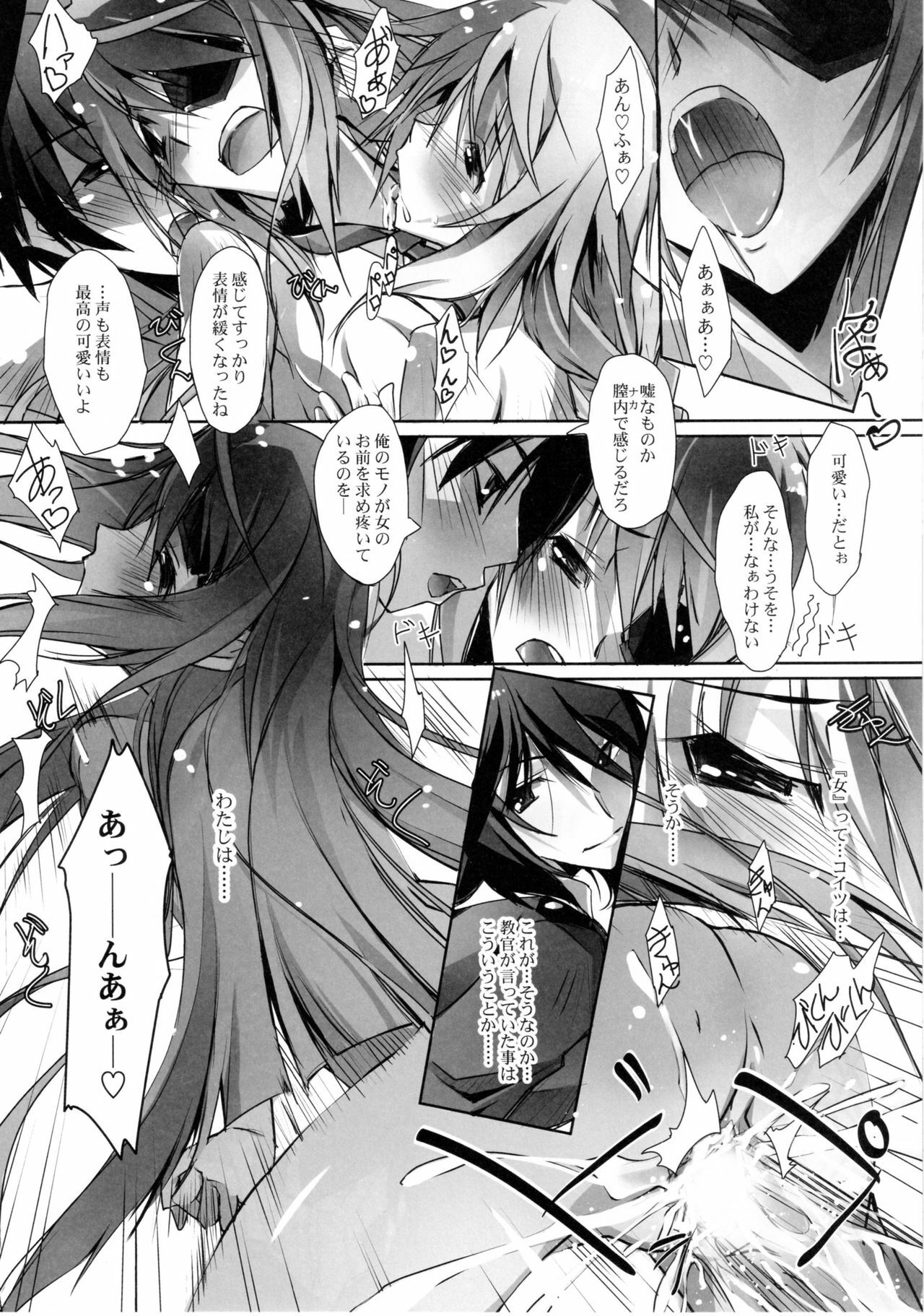 (COMIC1☆5) [RYU-SEKI-DO (Nagare Hyo-go)] LS Lovers Striker II (IS ) page 22 full