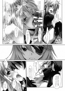 (COMIC1☆5) [RYU-SEKI-DO (Nagare Hyo-go)] LS Lovers Striker II (IS ) - page 13