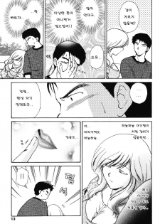 [Shou Akira] Love Seasons [Korean] - page 11
