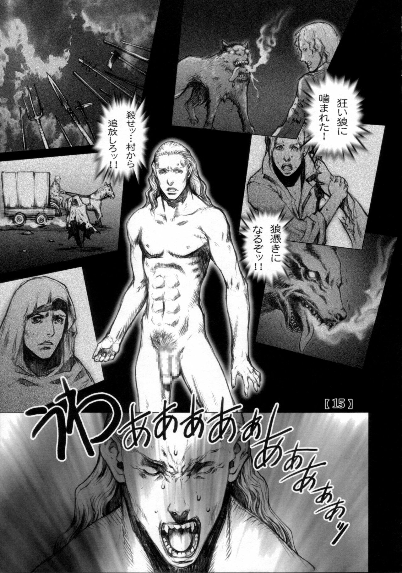 (C71) [Studio Tapa Tapa (Sengoku-kun)] White Wolf page 14 full