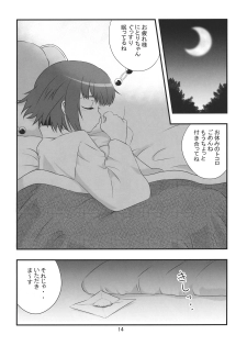 (C79) [Takadoya-tei (Takadoya Akira)] Tsuki makuri tai Kappa Musume (Touhou Project) - page 14