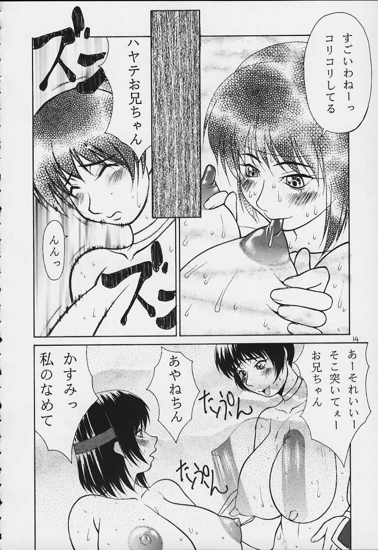 (C59) [Aruto-ya (Suzuna Aruto)] Tadaimaa 12 (Dead or Alive) page 14 full