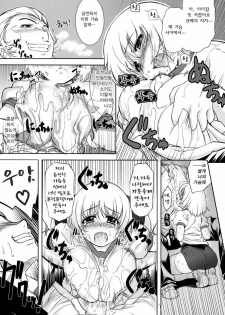 (C75) [Xration (mil)] MIXED-REAL 3 (Zeroin) [Korean] [Project H] - page 13