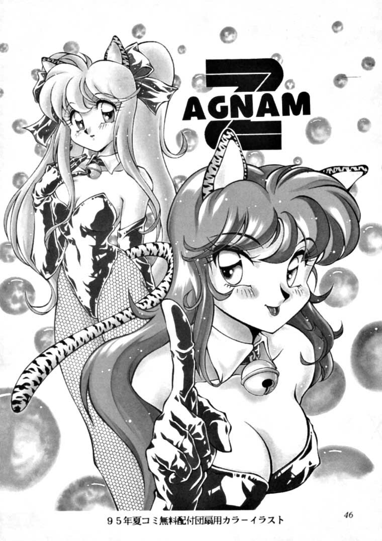 (C49) [Studio Z-Agnam (Azuma Kyouto, NO Chachamaru)] Meika Azumaya Vol.3 (Various) page 45 full