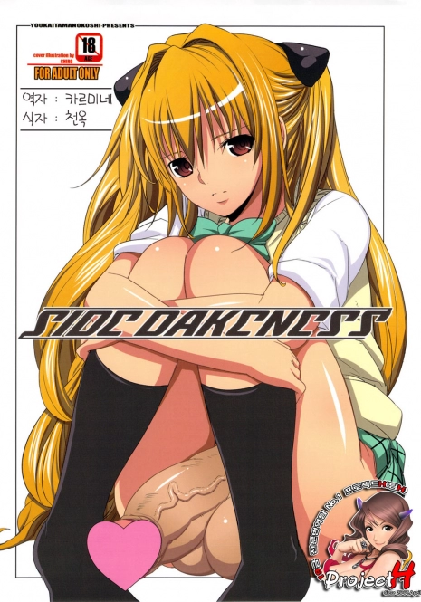 (COMIC1☆5) [Youkai Tamanokoshi (CHIRO)] SIDE DARKNESS (To Love-Ru Darkness) [Korean] [Project H]