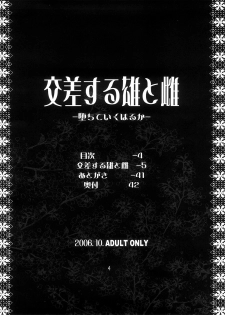 (SC33) [Kouchaya (Ootsuka Kotora)] Kousa Suru Osu to Mesu -Ochiteiku Haruka- - page 3