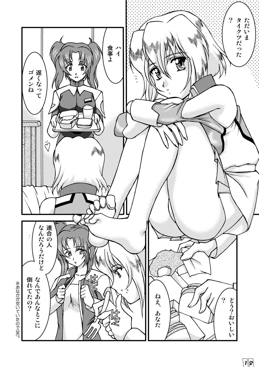 (Mimiket 12) [LUCK&PLUCK!Co. (Ananomiya Haruka)] Computer Children (Mobile Suit Gundam SEED DESTINY) page 11 full