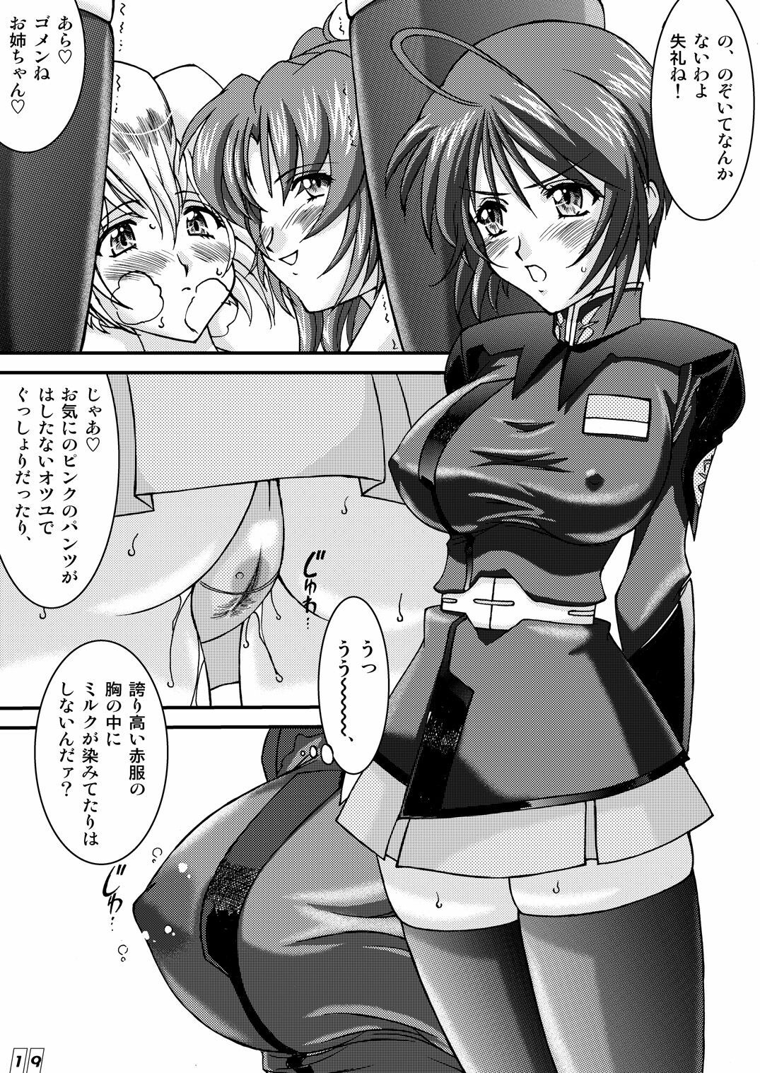 (Mimiket 12) [LUCK&PLUCK!Co. (Ananomiya Haruka)] Computer Children (Mobile Suit Gundam SEED DESTINY) page 18 full