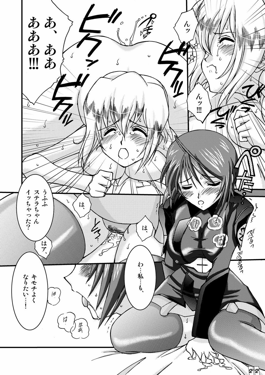 (Mimiket 12) [LUCK&PLUCK!Co. (Ananomiya Haruka)] Computer Children (Mobile Suit Gundam SEED DESTINY) page 21 full