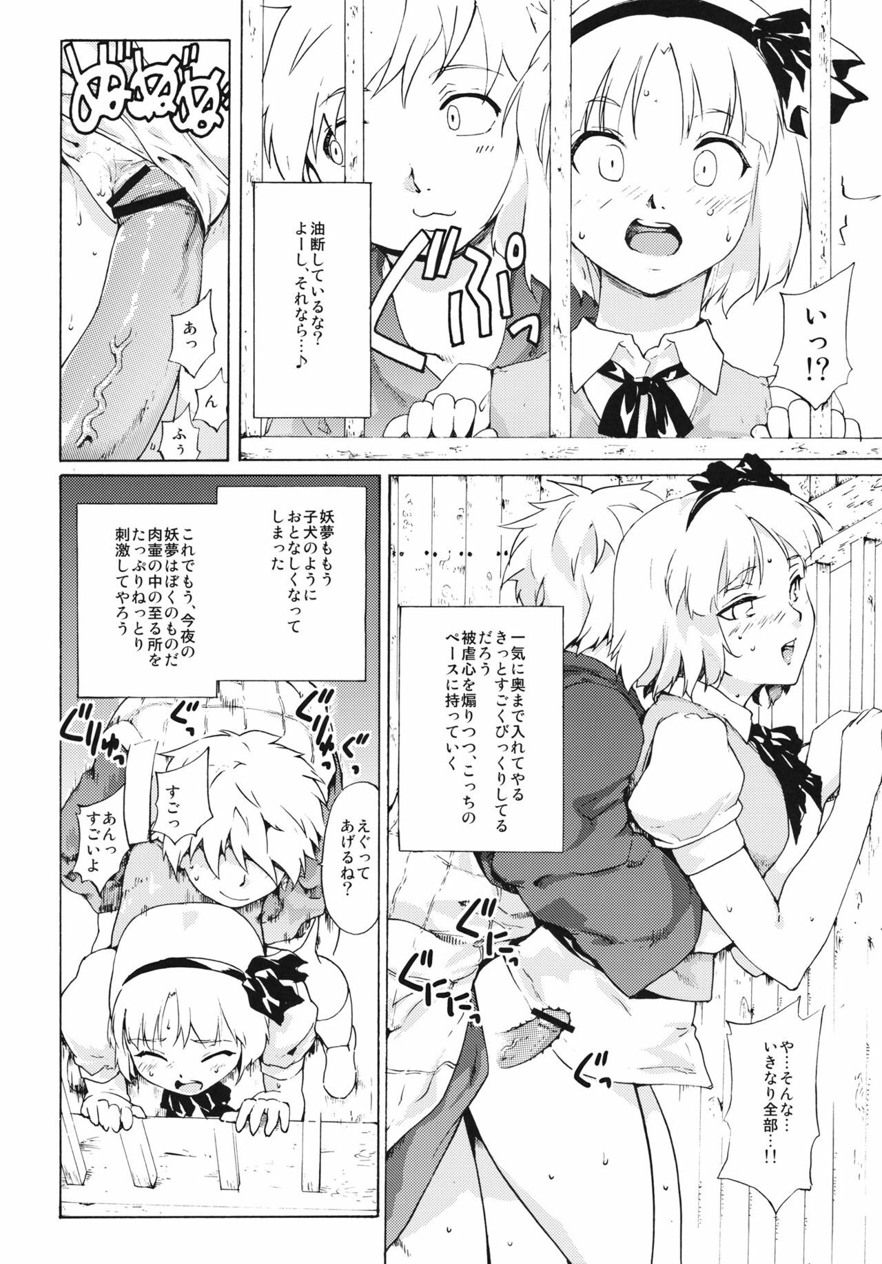 (ComiComi15) [Paranoia Cat (Fujiwara Shunichi)] Touhou Ukiyo Emaki - Seinaru Fune no Kiseki no Kiseki 2 (Touhou Project) page 21 full