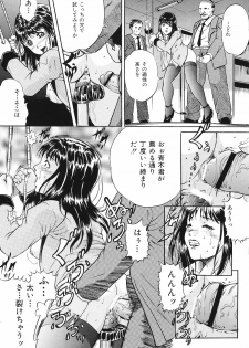 [Shizuki Shinra] Mesuinu Choukyou Nikki - page 12