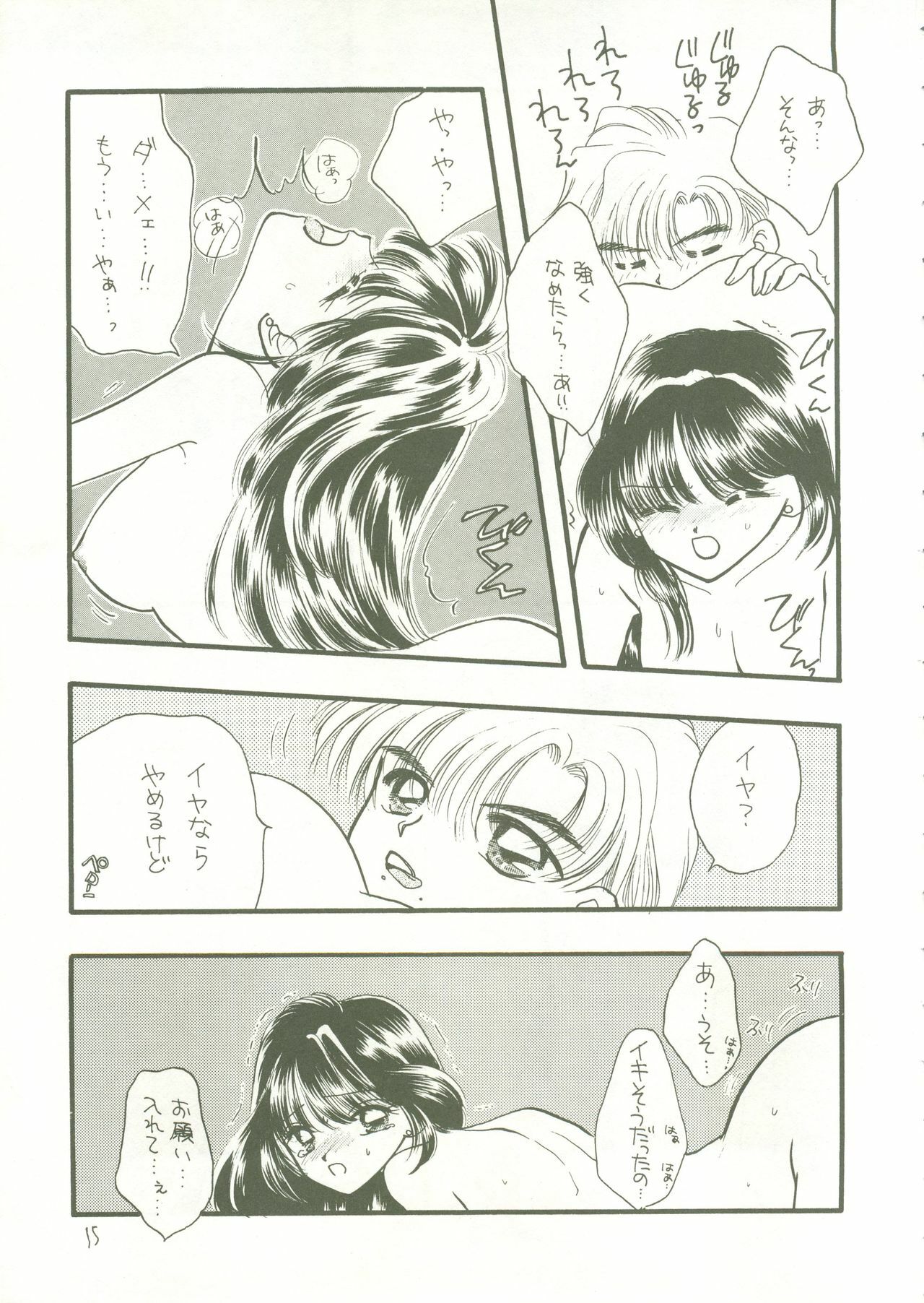 [SAILORQ2 (RYÖ, Den)] Ayakaritai65 (Bishoujo Senshi Sailor Moon) page 14 full