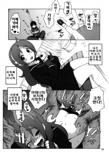 (C76) [666protect (Jingrock)] A.N.T.R. (King of Fighters) [Korean] [팀 면갤] - page 18