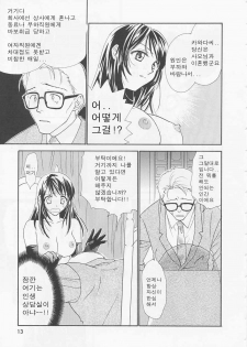 [Nikaidou Mitsuki] Oki Ni Mesumama [Korean] - page 13
