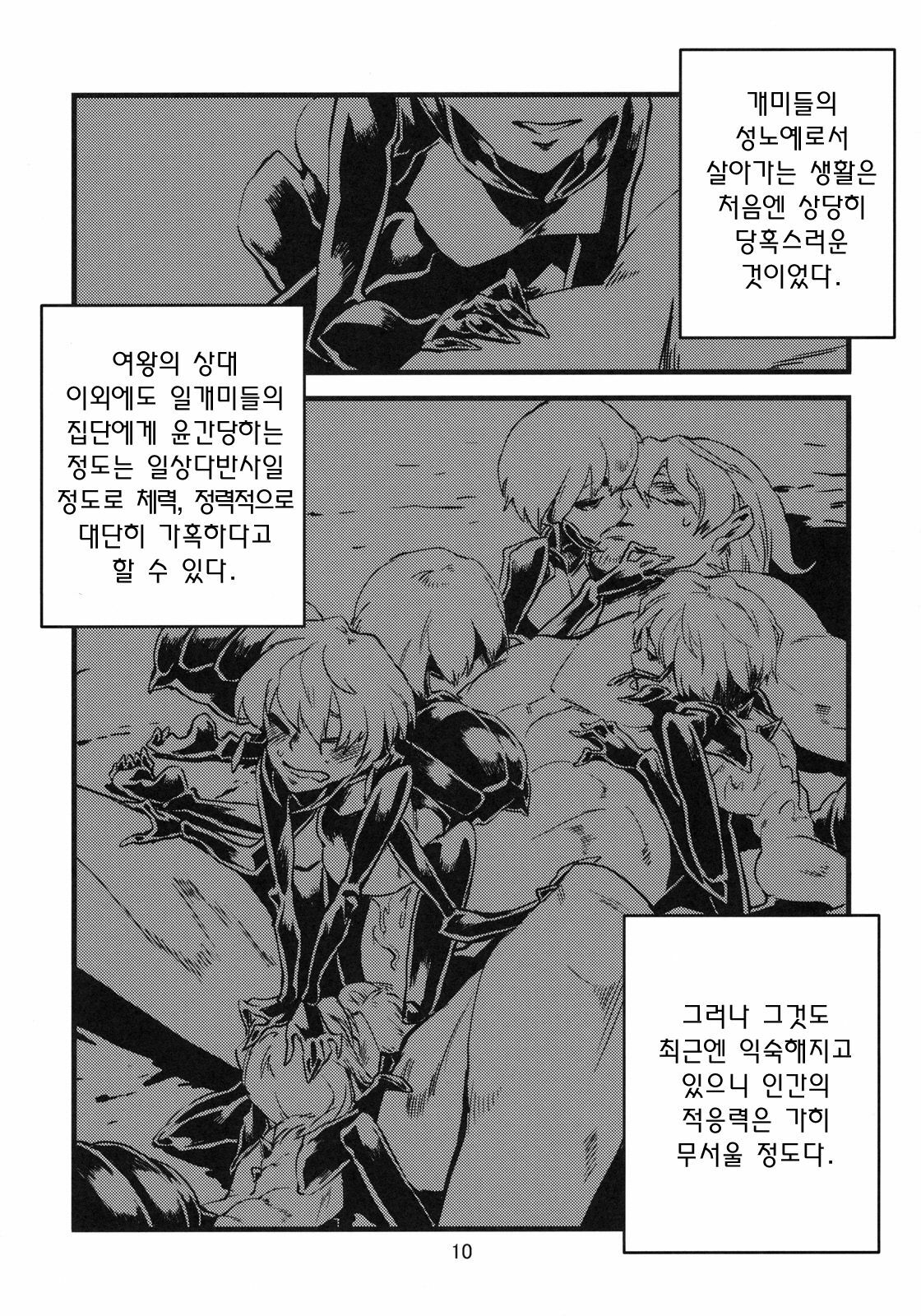 (C78) [Niku Drill (Toumasu)] Jingai Shunman 2 | 인외춘만 2 [Korean] [일라즈] page 11 full