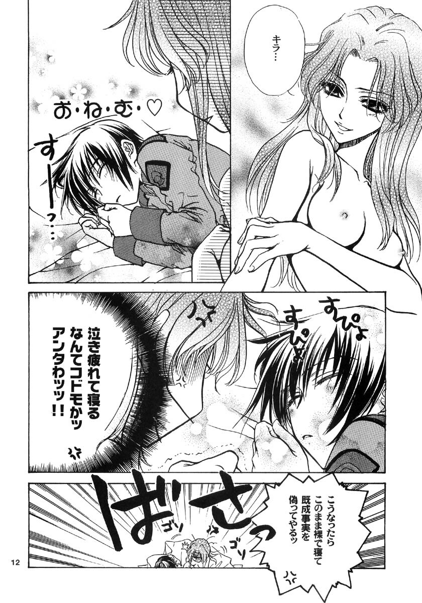 [Kozouya (Eiki Eiki, Zaou Taishi)] Ohoshisama ni Onegai... (Gundam SEED) page 12 full