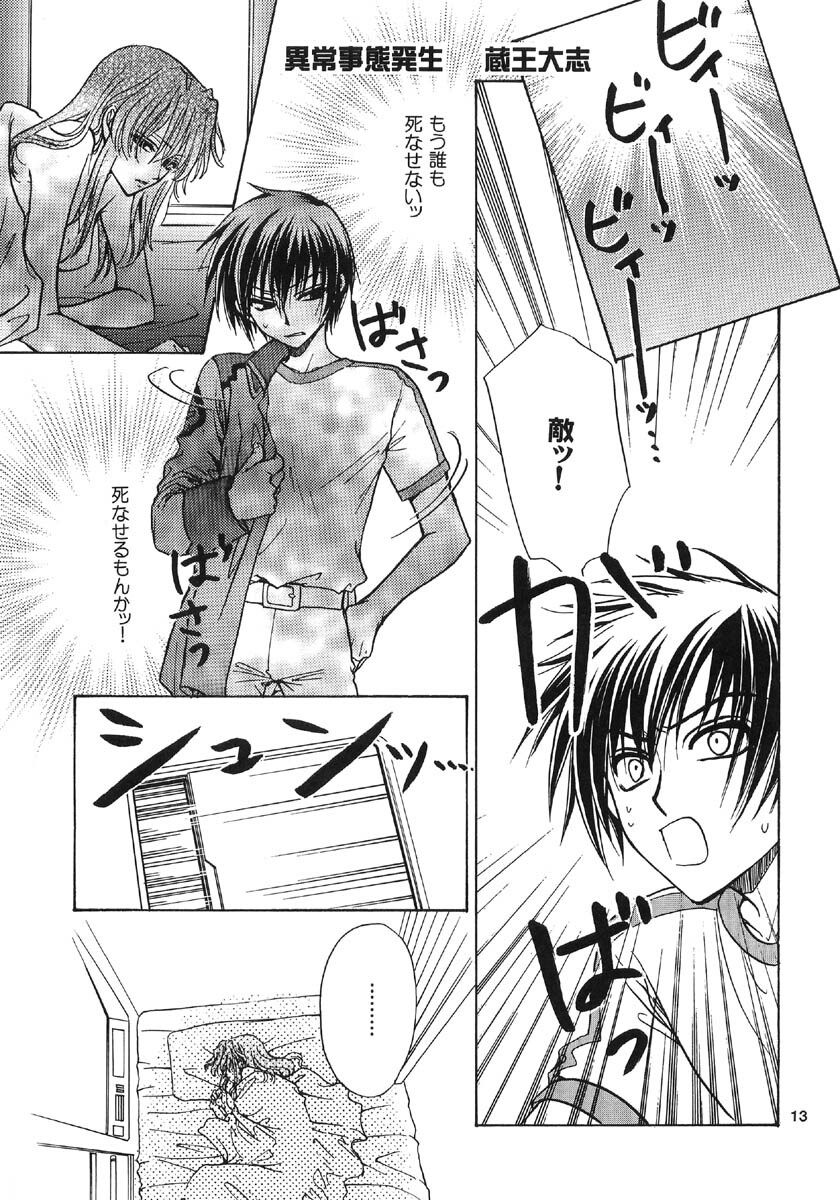 [Kozouya (Eiki Eiki, Zaou Taishi)] Ohoshisama ni Onegai... (Gundam SEED) page 13 full