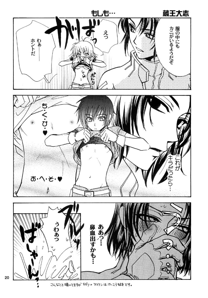 [Kozouya (Eiki Eiki, Zaou Taishi)] Ohoshisama ni Onegai... (Gundam SEED) page 20 full