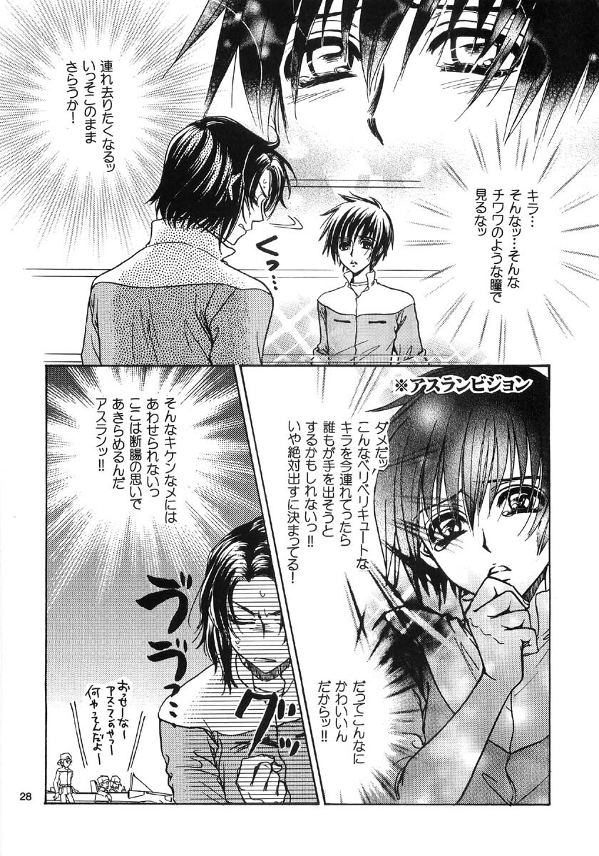 [Kozouya (Eiki Eiki, Zaou Taishi)] Ohoshisama ni Onegai... (Gundam SEED) page 28 full