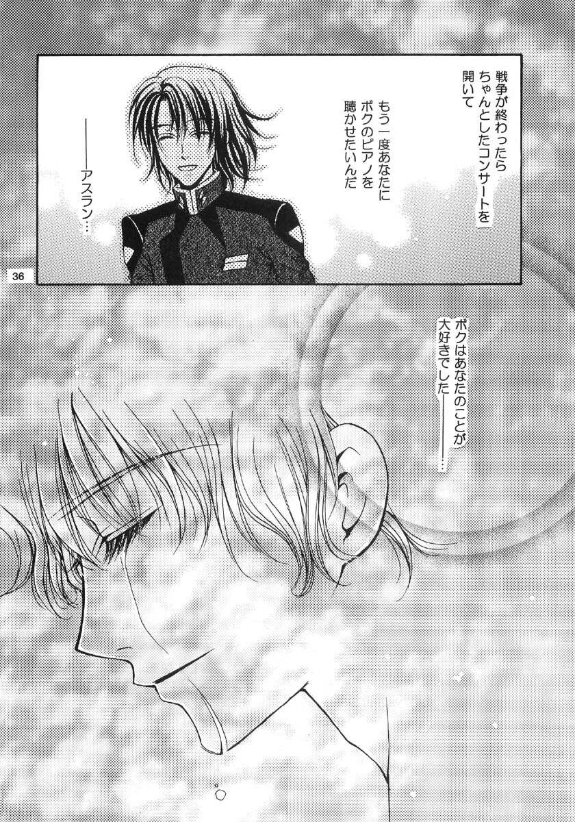 [Kozouya (Eiki Eiki, Zaou Taishi)] Ohoshisama ni Onegai... (Gundam SEED) page 36 full