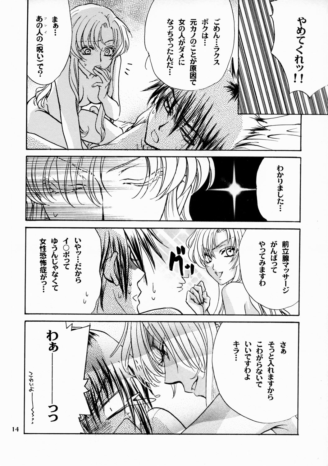 [Kozouya (Eiki Eiki, Zaou Taishi)] Boku no Chikyuu wo Mamotte (Gundam SEED) page 14 full