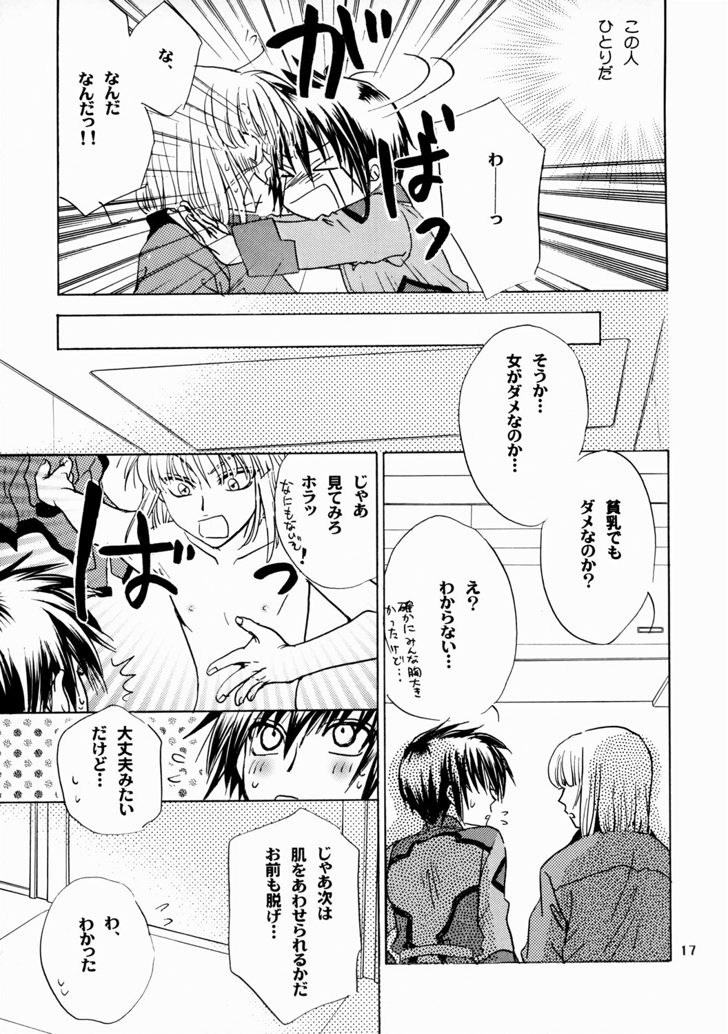 [Kozouya (Eiki Eiki, Zaou Taishi)] Boku no Chikyuu wo Mamotte (Gundam SEED) page 17 full