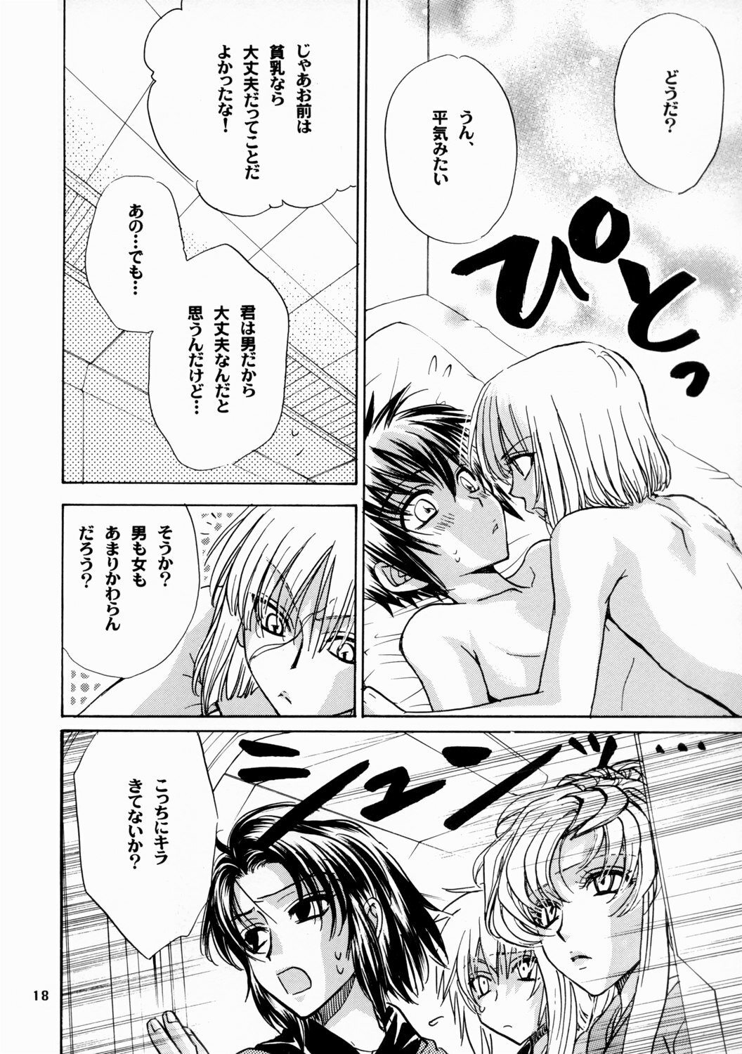 [Kozouya (Eiki Eiki, Zaou Taishi)] Boku no Chikyuu wo Mamotte (Gundam SEED) page 18 full