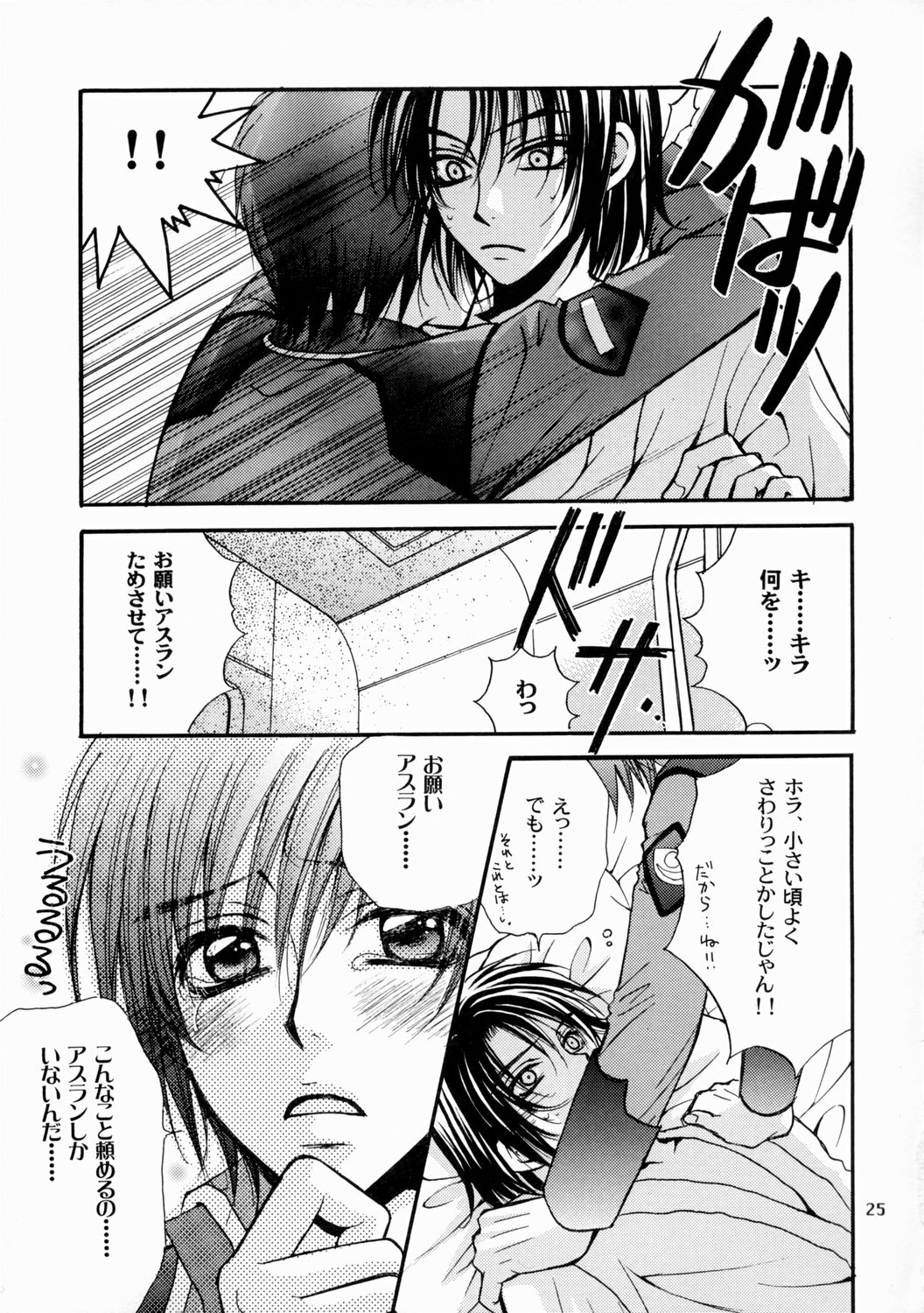 [Kozouya (Eiki Eiki, Zaou Taishi)] Boku no Chikyuu wo Mamotte (Gundam SEED) page 25 full