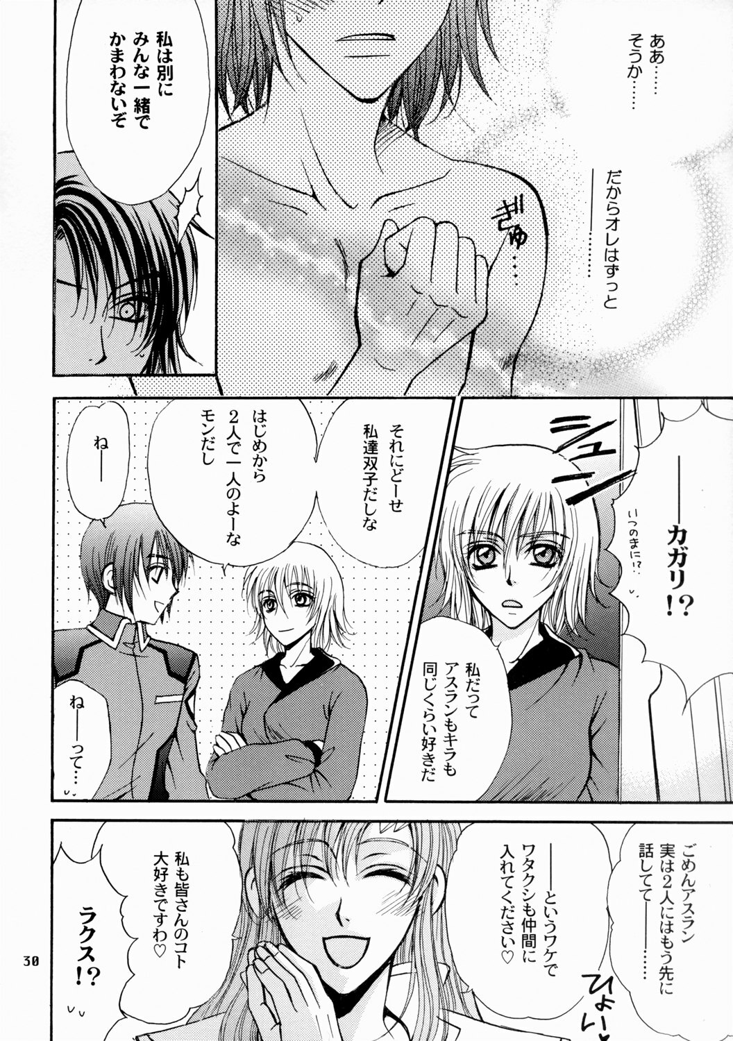 [Kozouya (Eiki Eiki, Zaou Taishi)] Boku no Chikyuu wo Mamotte (Gundam SEED) page 30 full