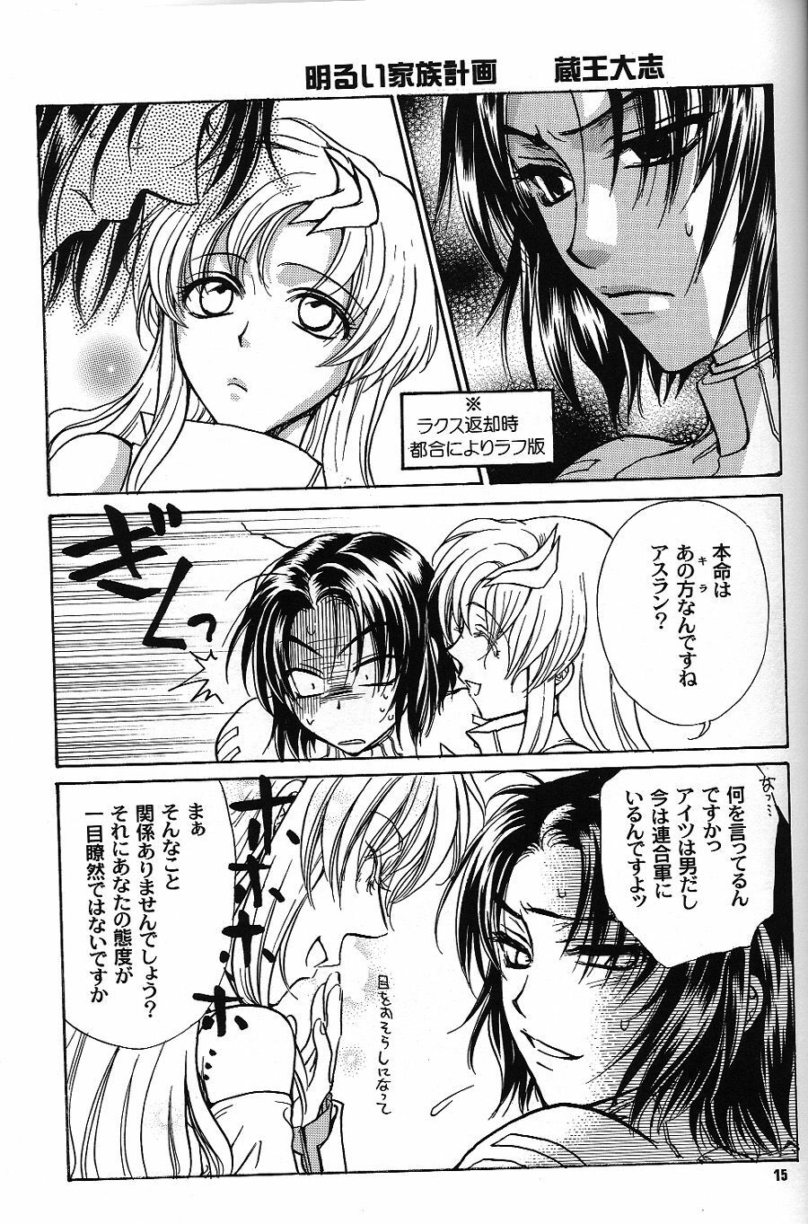 [Kozouya (Eiki Eiki, Zaou Taishi)] Boku wo Tsuki made Tsuretette (Gundam SEED) page 14 full