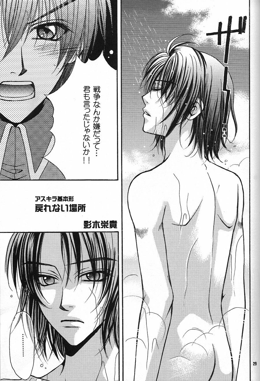 [Kozouya (Eiki Eiki, Zaou Taishi)] Boku wo Tsuki made Tsuretette (Gundam SEED) page 28 full