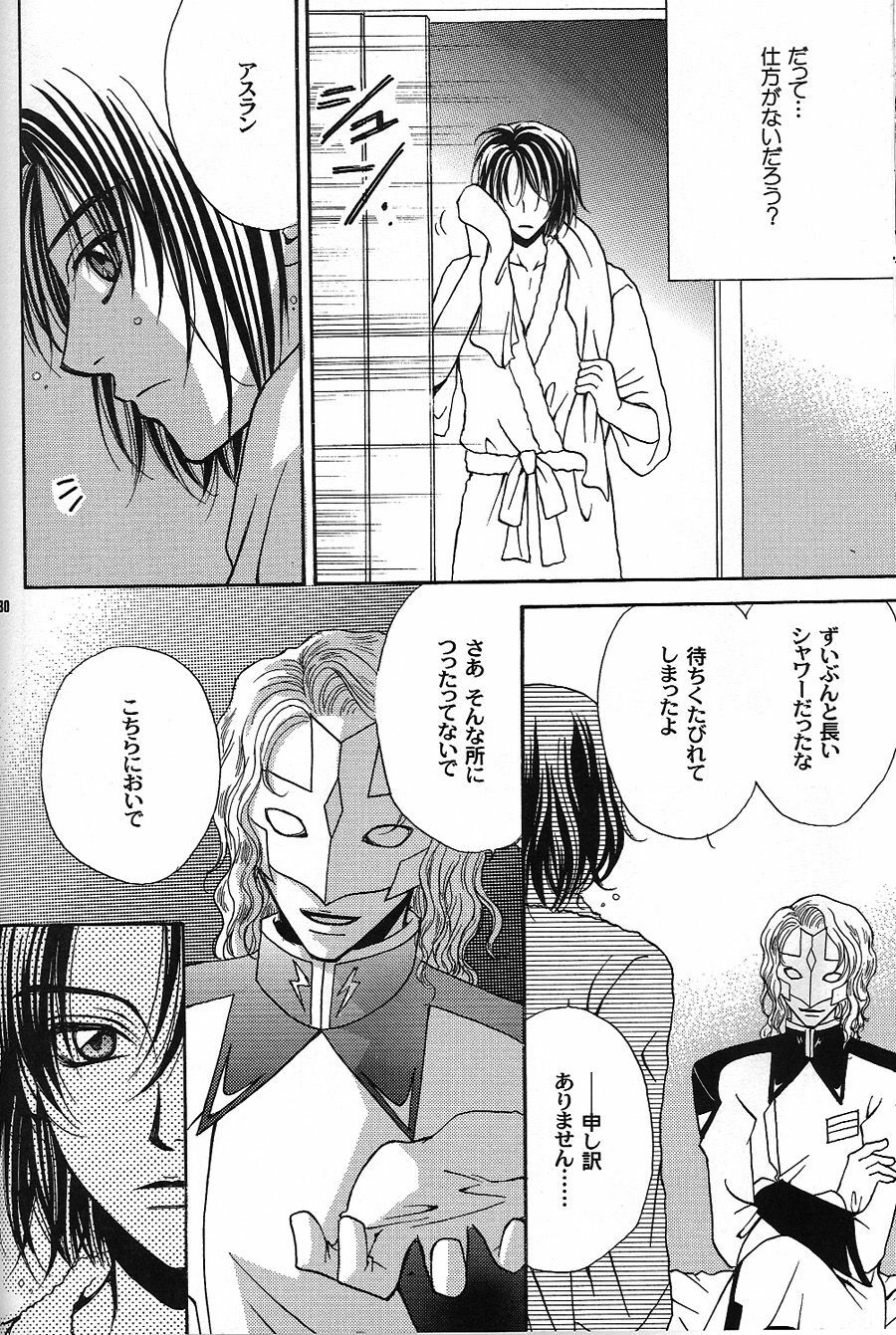 [Kozouya (Eiki Eiki, Zaou Taishi)] Boku wo Tsuki made Tsuretette (Gundam SEED) page 29 full