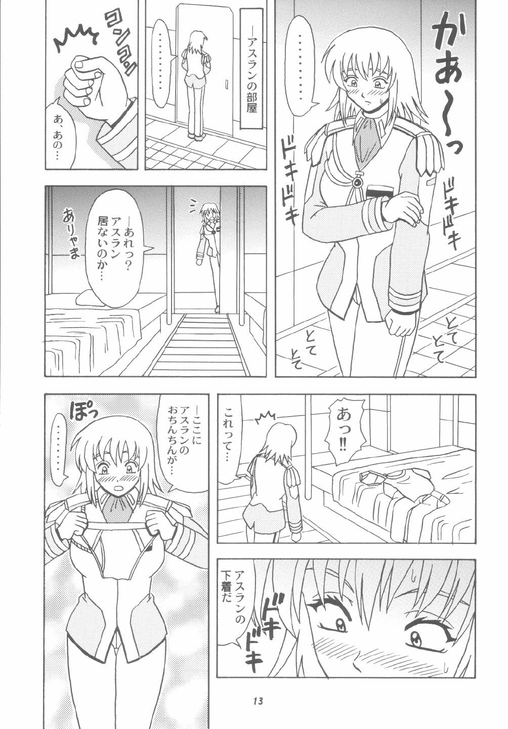 (C65) [HEAVEN'S UNIT (Kouno Kei)] Daten No Hanazono 6 (Kidou Senshi Gundam SEED) page 13 full