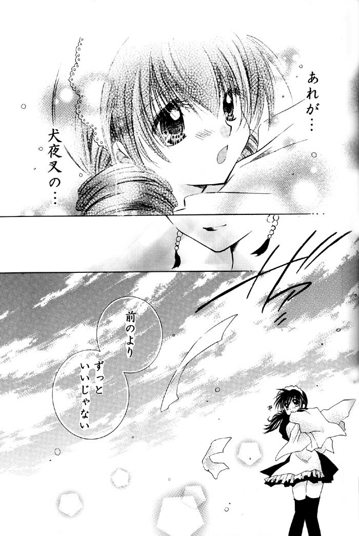 (C67) [Sakurakan (Seriou Sakura)] Tobikiri no Himitsu 2 (Inuyasha) page 28 full