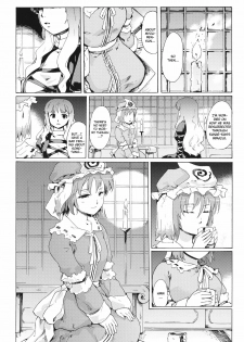 (ComiComi15) [PARANOIA CAT (Fujiwara Shunichi)] Touhou Ukiyo Emaki Seinaru Seinaru Fune no Kiseki no Kiseki 2 (Touhou Project) [English] - page 25