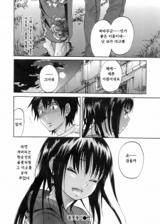 [Onda Chiro] Koushoku Chiro Rhythm - Sexual Chiro ERO Rhythm | 호색치로리즘 [Korean] [Project H] - page 33