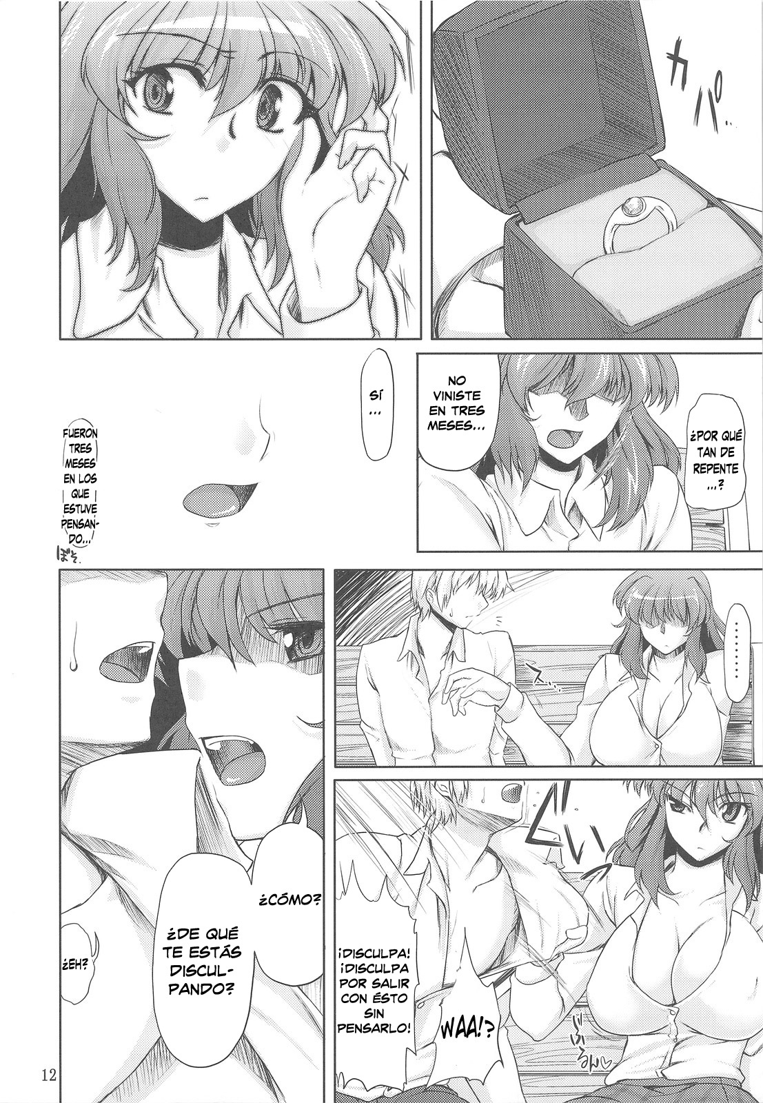 (C77) [04U (Misasagi Task)] Taiyou no Hatakenite Sorekara + Paper (Touhou Project‎) [Spanish] [Biblioteca Hentai] page 12 full