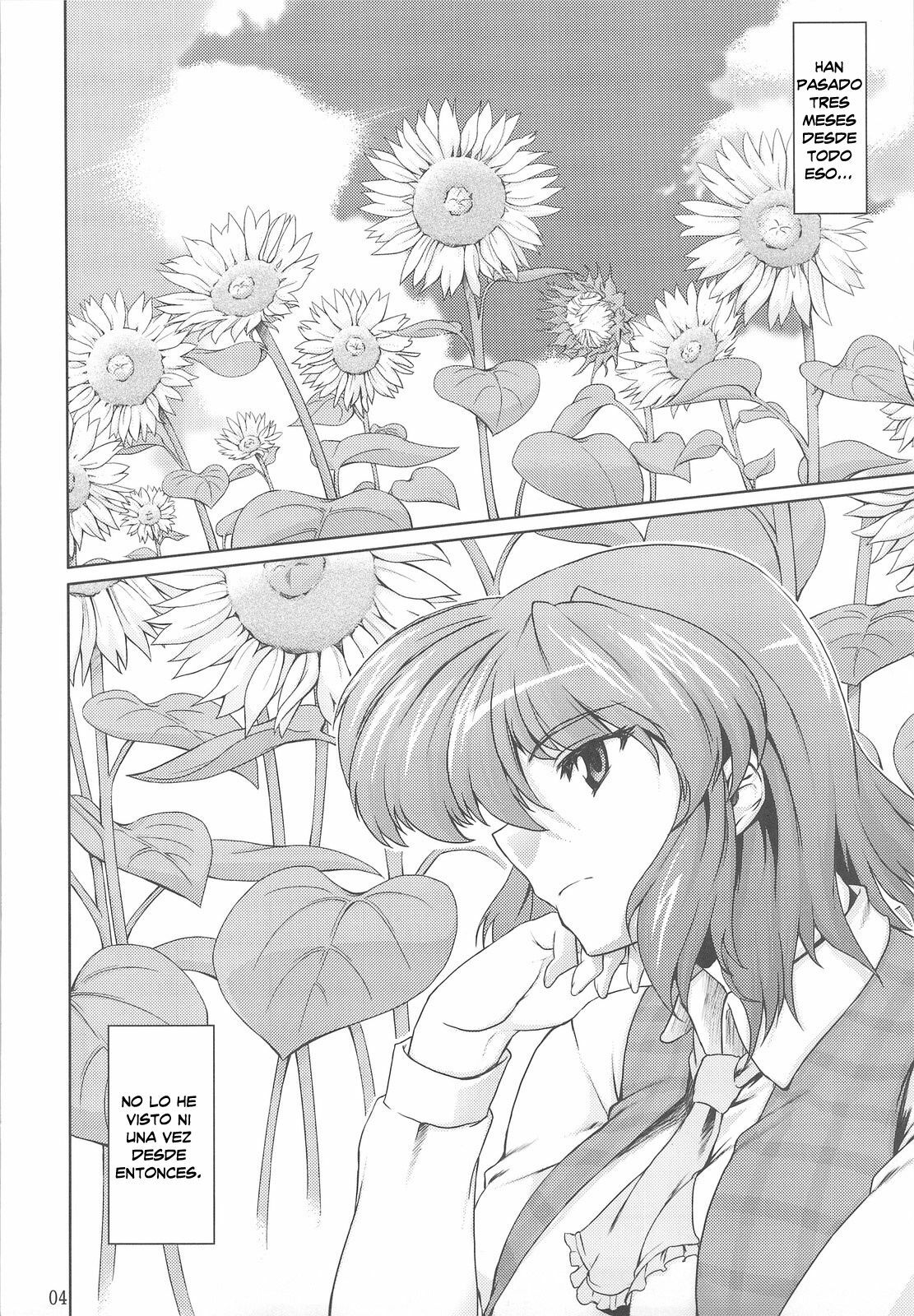 (C77) [04U (Misasagi Task)] Taiyou no Hatakenite Sorekara + Paper (Touhou Project‎) [Spanish] [Biblioteca Hentai] page 4 full