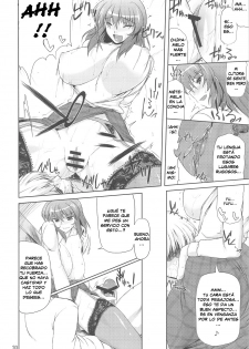 (C77) [04U (Misasagi Task)] Taiyou no Hatakenite Sorekara + Paper (Touhou Project‎) [Spanish] [Biblioteca Hentai] - page 20