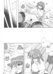 (C77) [04U (Misasagi Task)] Taiyou no Hatakenite Sorekara + Paper (Touhou Project‎) [Spanish] [Biblioteca Hentai] - page 32