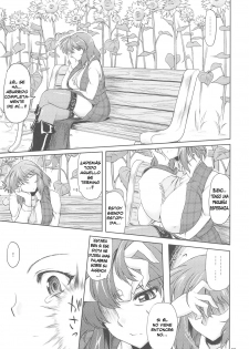 (C77) [04U (Misasagi Task)] Taiyou no Hatakenite Sorekara + Paper (Touhou Project‎) [Spanish] [Biblioteca Hentai] - page 5