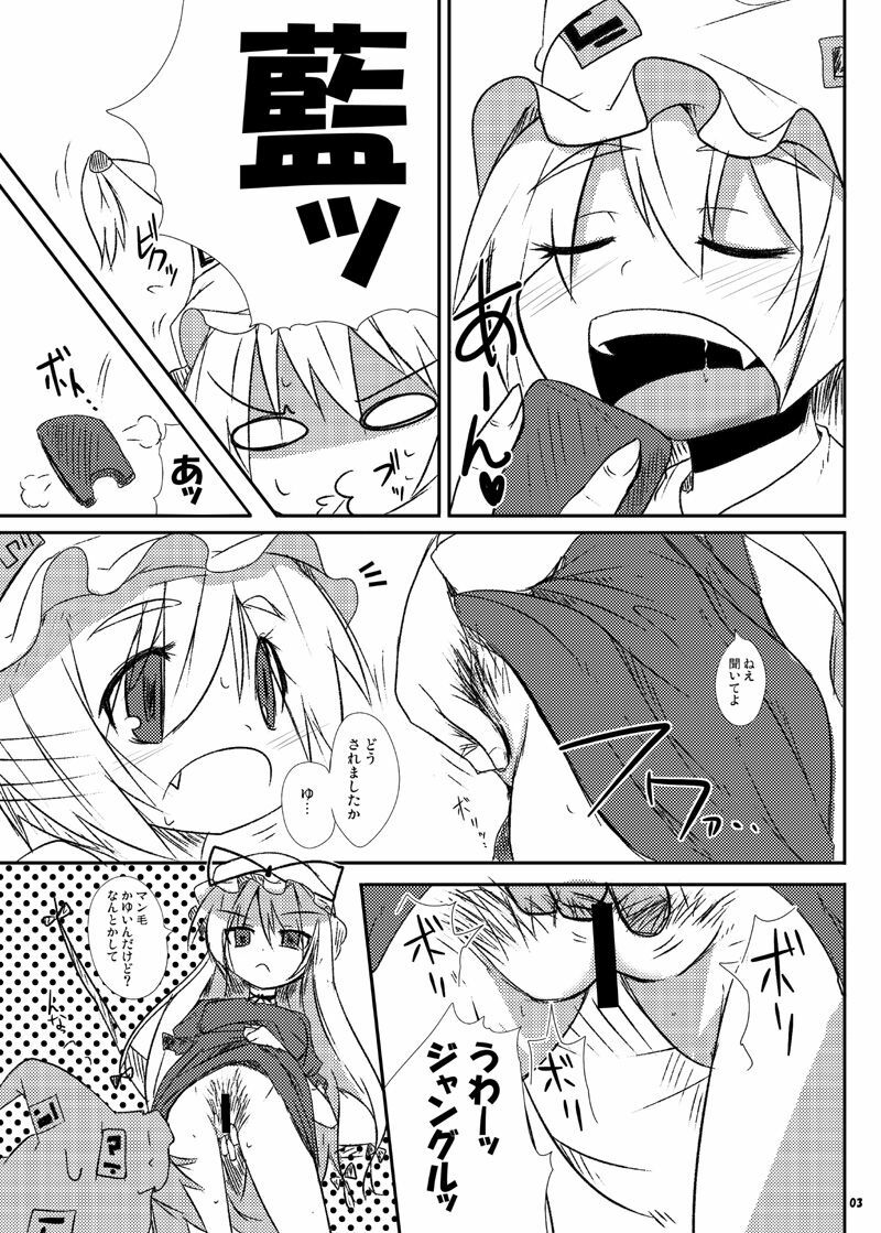 [Raiden Labo (Raiden)] Ran to Yukari no Kyoukai -Extra- (Touhou) page 2 full