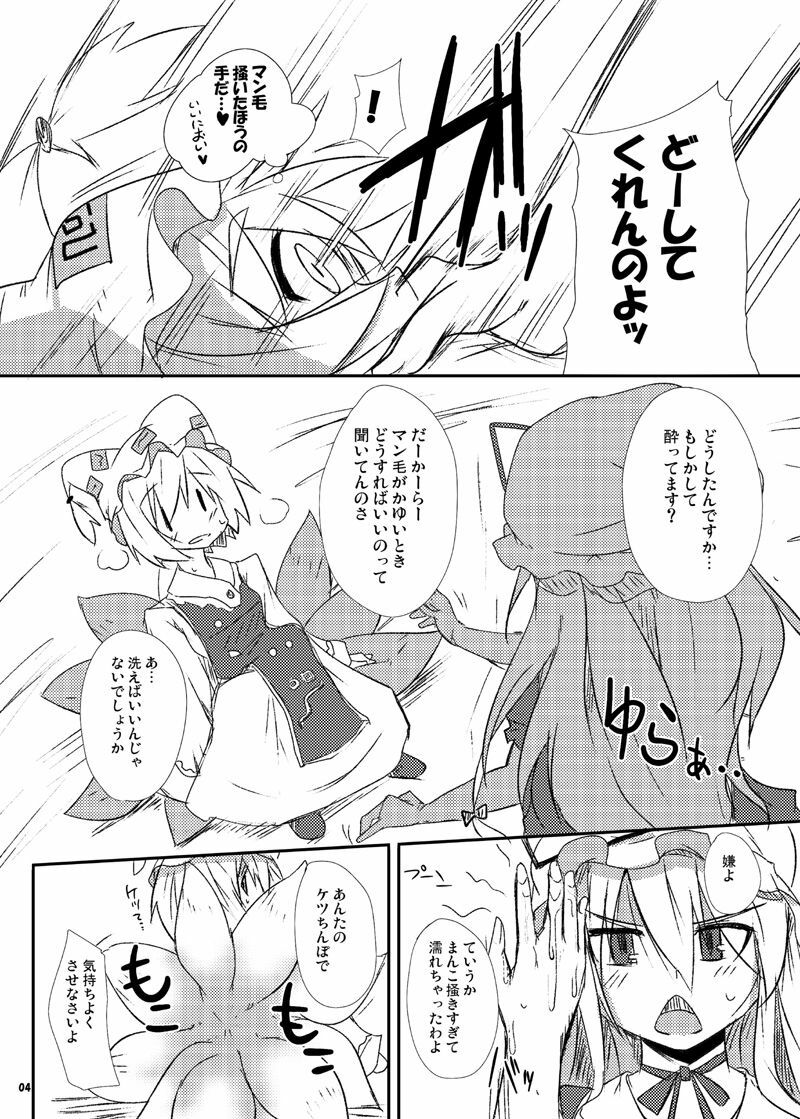 [Raiden Labo (Raiden)] Ran to Yukari no Kyoukai -Extra- (Touhou) page 3 full