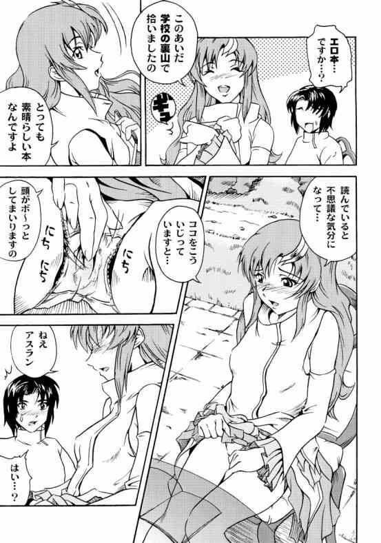 (SC20) [UNDER77 ((ASA-)MitZ)] Tanetane Maki! Maki! Maki! (Mobile Suit Gundam SEED) page 4 full