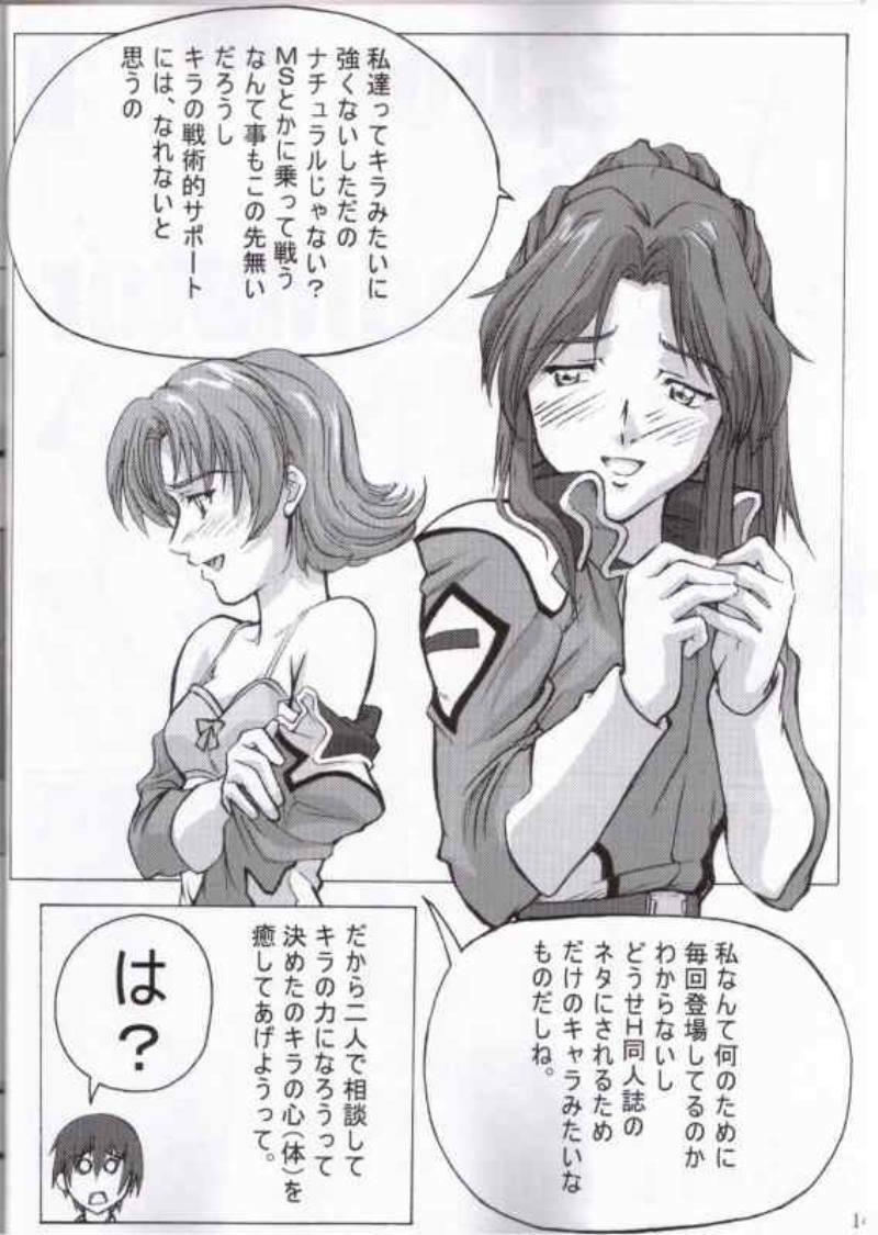 (C65) [TK-BROS (Various)] MIX UP 2003 WINTER Xsion (Kidou Senshi Gundam SEED) page 11 full